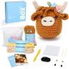highland cow01