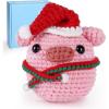 Christmas Pig