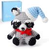 image:imageCrochetBox Crochet Kit for Beginners Adults  Starters Crochet Kit Beginners Crocheting Kitting for Adults Teen Craft Gifts with Crochets Yarns Hook StepbyStep Video InstructionRaccoon